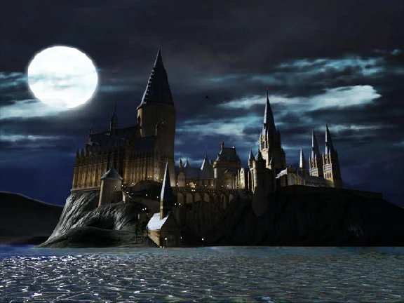 GLOBAL💎STEAM|LEGO® Harry Potter: Years 1-4 ⚡ KEY