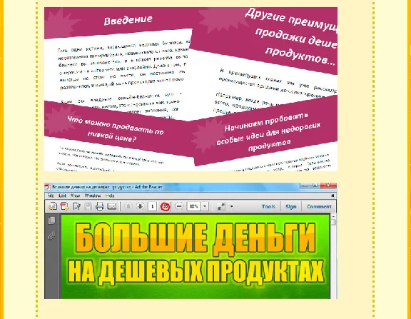 Книга с правами перепродаж "Деньги на дешевых продуктах