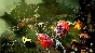 ✅Warhammer Age of Sigmar Storm Ground⭐Steam\Global\Key⭐