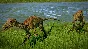 Jurassic World Evolution: Secrets of Dr Wu Steam Gift