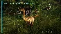 Jurassic World Evolution - Deluxe DLC Steam Gift Россия