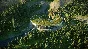 Jurassic World Evolution 2: Dominion Biosyn Expansion