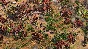 AGE OF EMPIRES II: DEFINITIVE EDITION - DAWN OF THE DUK