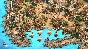 AGE OF EMPIRES II: DEFINITIVE EDITION - LORDS OF THE WE