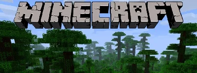 MINECRAFT PREMIUM
