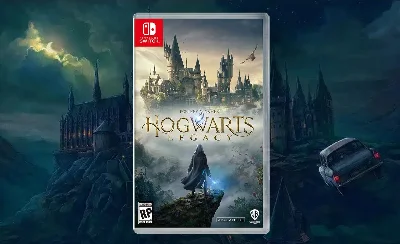 Hogwarts Legacy 🎮 Nintendo Switch