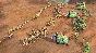 ❗AGE OF EMPIRES IV: ANNIVERSARY EDITION❗(PC WIN)🔑KEY