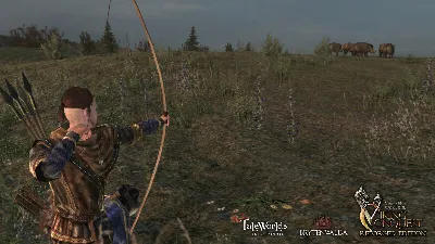 Mount & Blade: Warband - Viking Conquest DLC