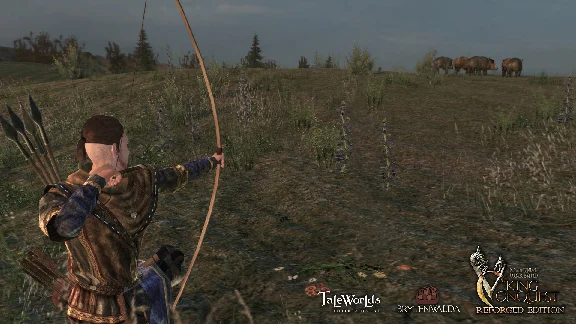 Mount & Blade: Warband - Viking Conquest DLC