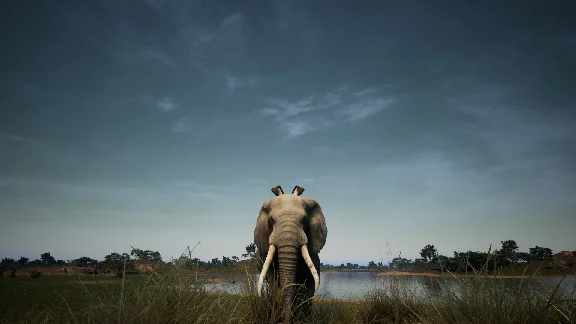 Animalia Survival EggHunt DLC * STEAM🔥AUTODELIVERY