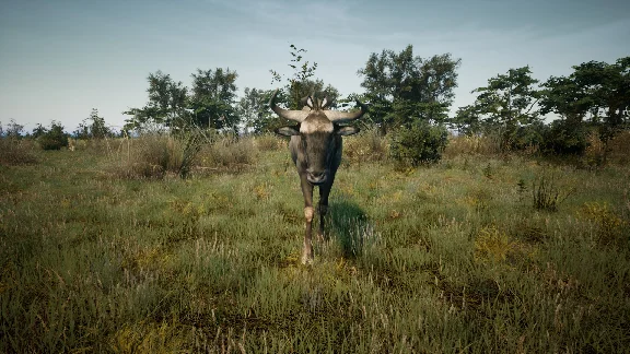 Animalia Survival EggHunt DLC * STEAM🔥AUTODELIVERY