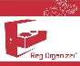 ✳️ Reg Organizer 9.11 🔑 Lifetime license, key