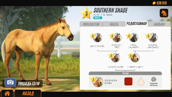Rival Stars Horse Racing * STEAM РОССИЯ🔥АВТОДОСТАВКА