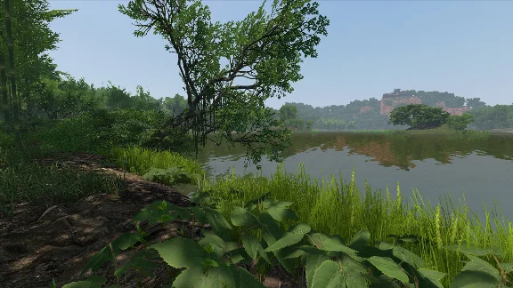 Fisher Online - China DLC * STEAM RUSSIA🔥AUTODELIVERY