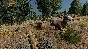 WolfQuest: Anniversary Edition * STEAM🔥AUTODELIVERY