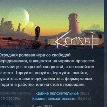 Kenshi 💎 STEAM GIFT RUSSIA