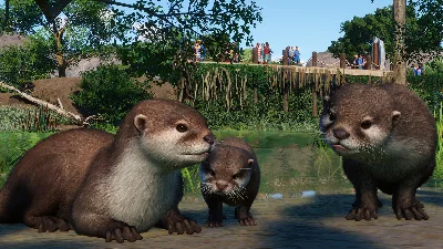 Planet Zoo: Wetlands Animal Pack (Steam Gift Россия)