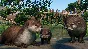 Planet Zoo: Wetlands Animal Pack (Steam Gift Россия)
