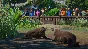 Planet Zoo: Wetlands Animal Pack (Steam Gift Россия)