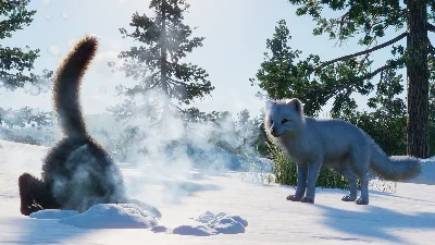 Planet Zoo: North America Animal Pack Steam Gift Россия