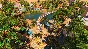 Planet Zoo: Africa Pack (Steam Gift Россия)