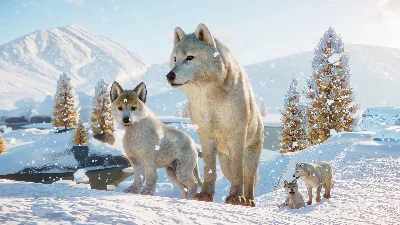 Planet Zoo: Arctic Pack (Steam Gift Россия)