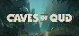 Caves of Qud * STEAM РОССИЯ🔥АВТОДОСТАВКА