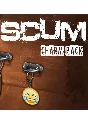 🔶SCUM: Charms Pack(RU/CIS)Steam