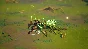 Alaca STEAM KEY REGION FREE GLOBAL ROW