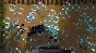 CyVenge STEAM KEY REGION FREE GLOBAL ROW
