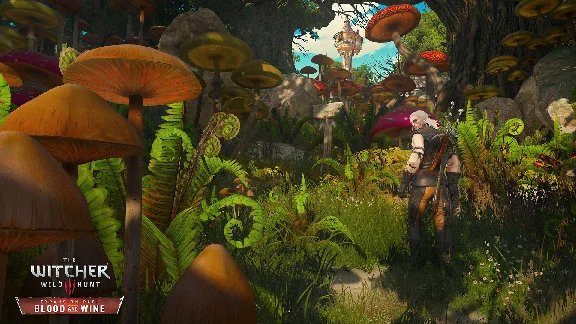 .🍁The Witcher 3: Wild Hunt - Expansion Pass