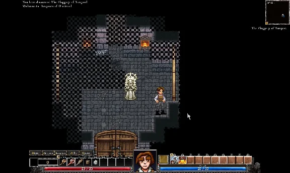 Dungeons of Dredmor (Steam Gift RU)