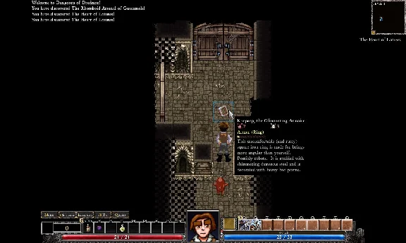 Dungeons of Dredmor (Steam Gift RU)