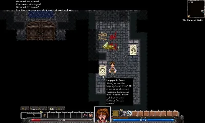 Dungeons of Dredmor (Steam Gift RU)