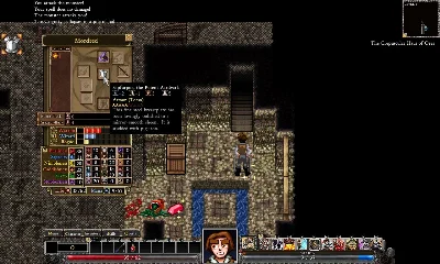 Dungeons of Dredmor (Steam Gift RU)