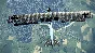 IL-2 Sturmovik: Flying Circus - Volume II DLC