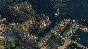 Anno 1800 - Docklands (Steam Gift RU)