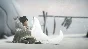 Never Alone (Kisima Ingitchuna) * STEAM🔥AUTODELIVERY