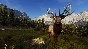 Way of the Hunter * STEAM РОССИЯ🔥АВТОДОСТАВКА
