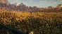 theHunter: Call of the Wild - Hunter Power Pack Steam