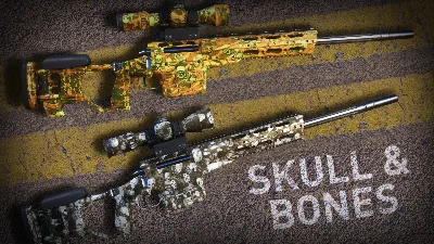 Sniper Ghost Warrior Contracts 2 - Skull & Bones Skin