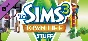 The Sims™ 3 Town Life Stuff (Steam Gift Россия)