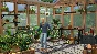 The Sims 4 Greenhouse Haven Kit (Steam Gift RU)