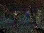 The Elder Scrolls III: Morrowind Game of the Year Ed RU