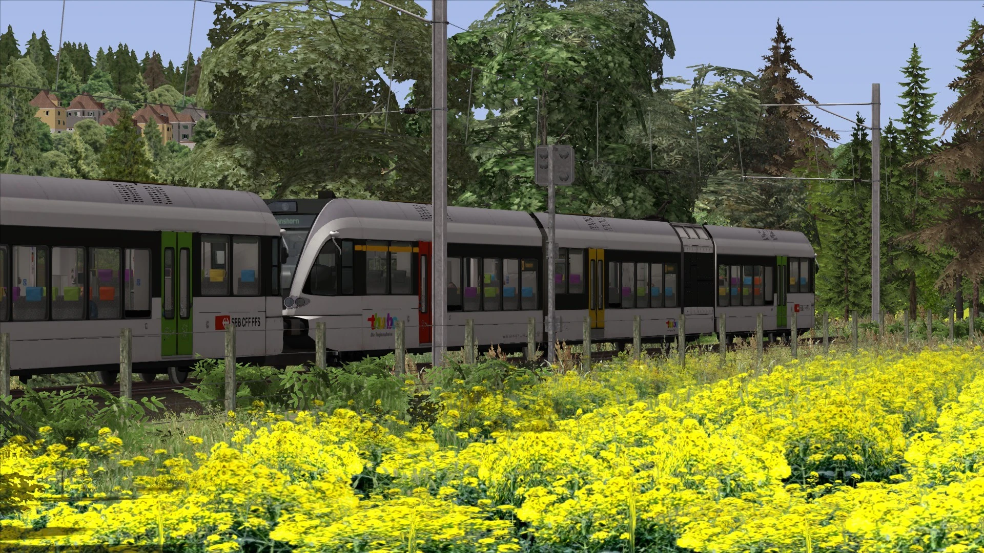 Train Simulator: Lake Constance: Schaffhausen – Kreuzli