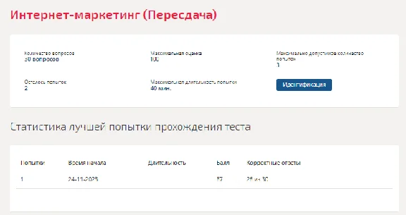 Internet marketing. Test Synergy/MIT 2023 (87 points)