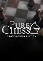 🔶Pure Chess Grandmaster Edition(РУ/СНГ)Steam