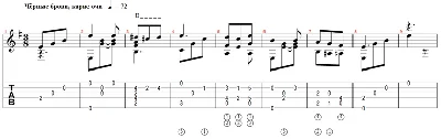 Black eyebrows, brown eyes - arranged for guitar
