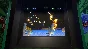 CAPCOM ARCADE STADIUM:FORGOTTEN WORLDS 🔑XBOX KEY