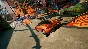 ❗HOT WHEELS PASS VOL. 3 - WINDOWS EDITION❗(PC WIN)🔑KEY